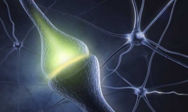 Can memory be transferred from one brain to another?
