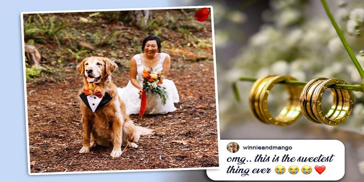 Bride takes first-look wedding photographs with her dog