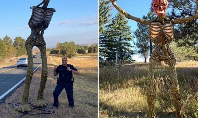 Headless Halloween Skeleton Mystifies Colorado Authorities