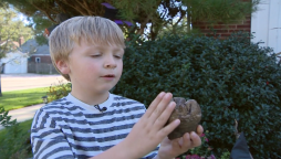 Michigan: 6-year-old discovers mastodon tooth nature preserve