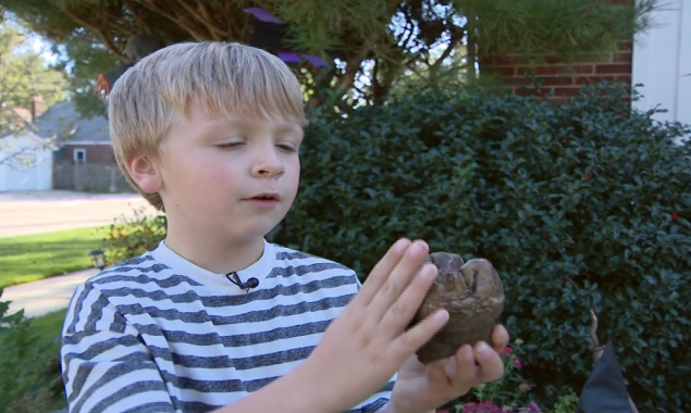 Michigan: 6-year-old discovers mastodon tooth nature preserve