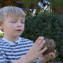 Michigan: 6-year-old discovers mastodon tooth nature preserve