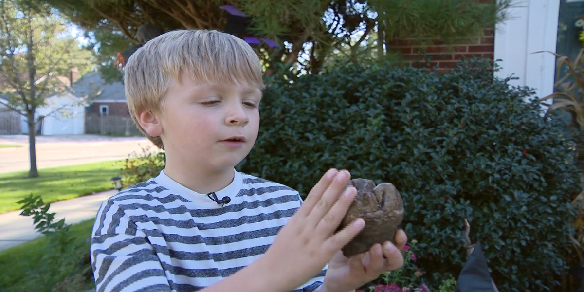 Michigan: 6-year-old discovers mastodon tooth nature preserve