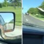 Snake takes ride on car’s windscreen, gets flicked off by viper