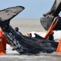 Argentina: After an hours-long rescue mission, a beached humpback whale was saved