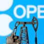 Opec+ won’t change its strategy: minister