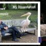 Video of elderly man sitting near a massive pelican in park gone viral