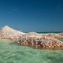 A small island in Corsica made from oyster shells