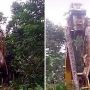 Watch: Massive snake being lifted by a crane in a Caribbean forest has gone viral