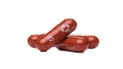 US health panel says Merck pill can prevent grave Covid infections