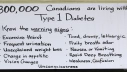 Type 1 diabetes trial