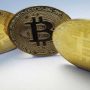 Bitcoin, ether nurse losses, lurk near critical levels