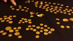 Largest-ever haul of Anglo-Saxon gold coins discovered in England