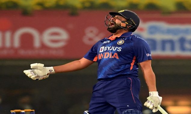 India seal T20 series win over New Zealand
