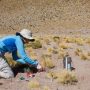 “Genetic Goldmine” found in one of the toughest environments on Earth