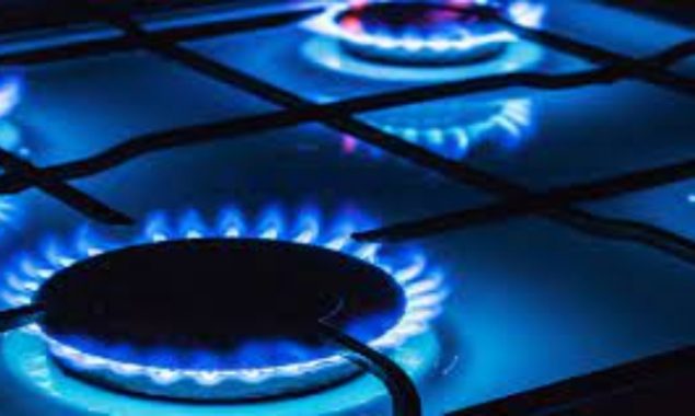 Businessmen call for uninterrupted, low cost gas