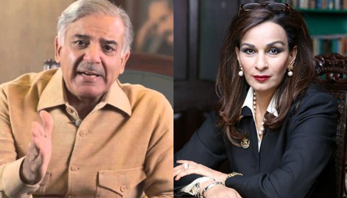 Sherry Shehbaz