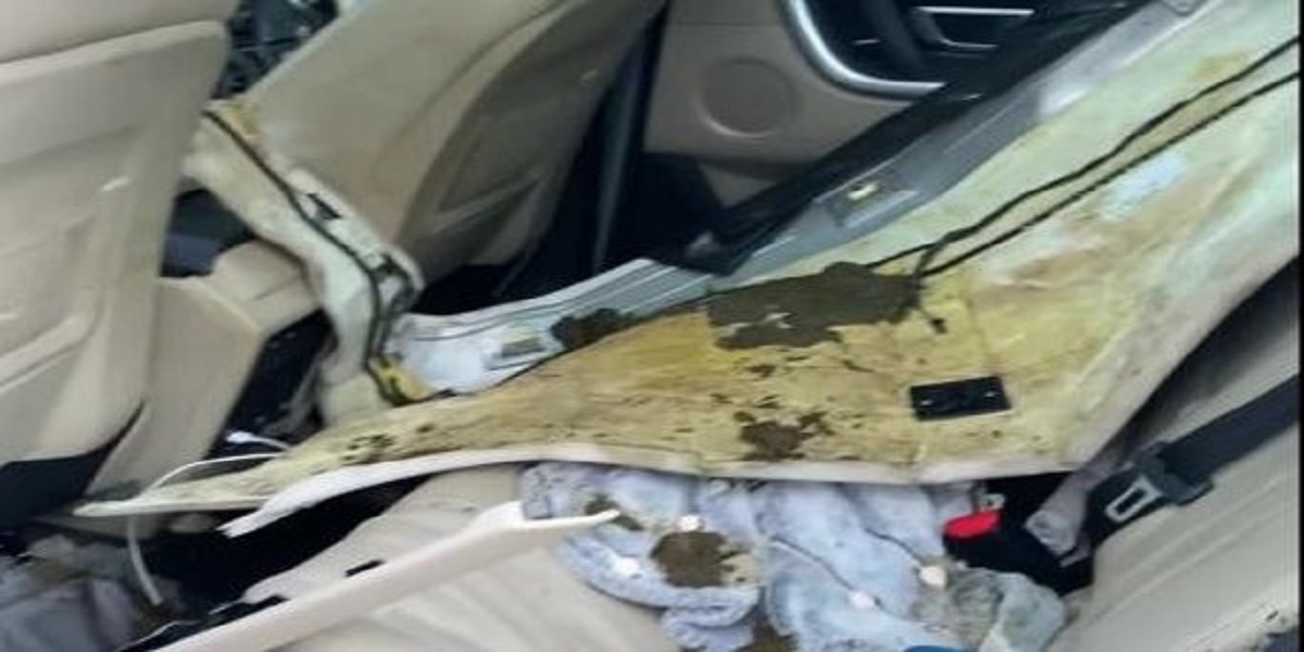 Colorado: A bear breaks into an unlocked car and poops in the back seat