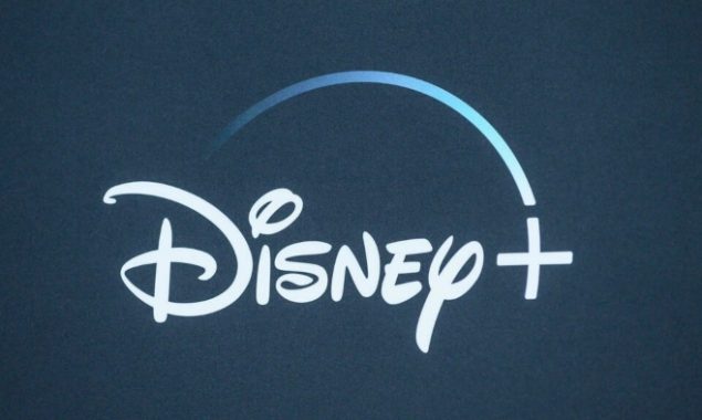 Disney+ streaming subscriber growth slows