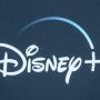 Disney+ streaming subscriber growth slows