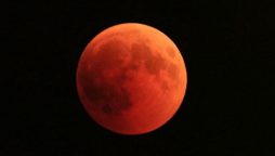 Lunar Eclipse 2021