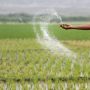 Punjab govt to activate online portal for monitoring of urea’s supply chain