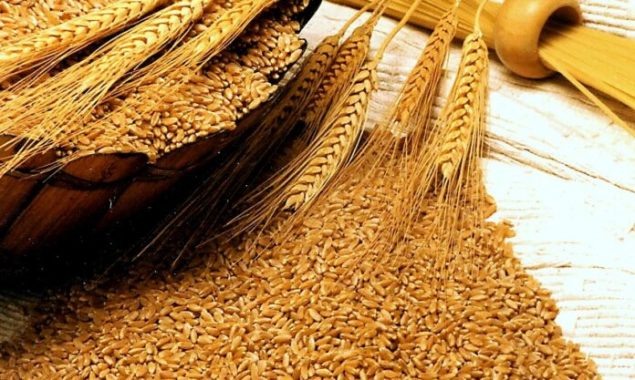 KP Cabinet approves first-ever provincial food security policy