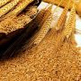 KP Cabinet approves first-ever provincial food security policy