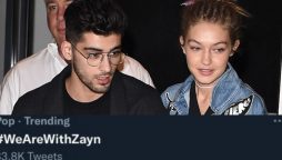 Zayn maliks And Hadid's