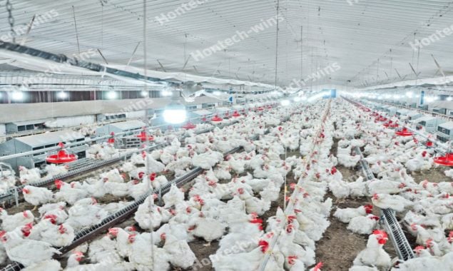 Saudi Arabia offers 15 investment opportunities for poultry projects