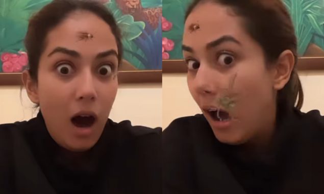 Mira Rajput