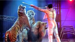 France bans wild animals in circuses