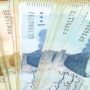 Saudi assistance may help ease rupee volatility