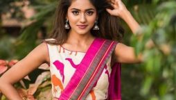 Telugu actress Shalu Chourasiya injured in mobile snatching incident  