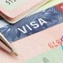 Dubai to issue 5-year multiple entry visa for foreign firms employees