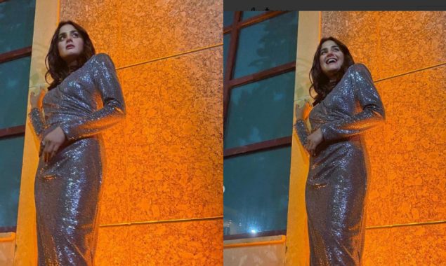 Hira Mani looks alluring in shimmery cocktail glam outfit, see photos