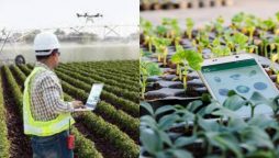 Australia and Pakistan agro-technology