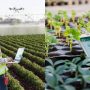Australia decides to share agro-technology with Pakistan to uplift the quality of human resources