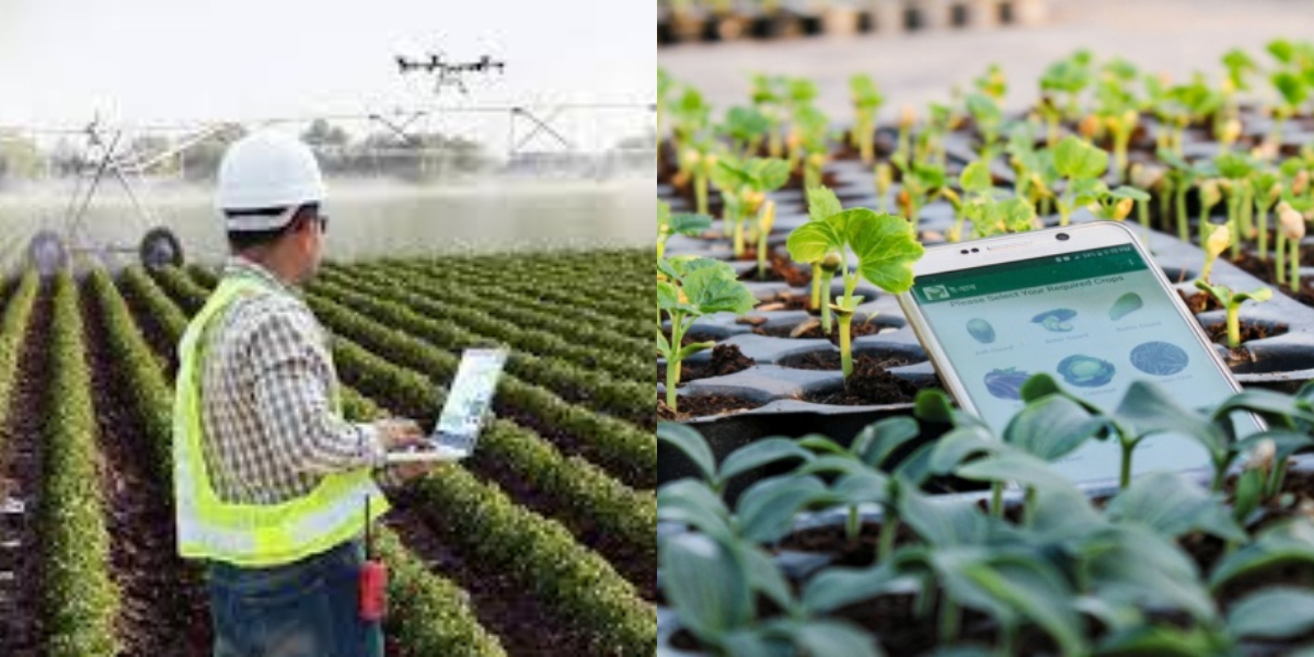 Australia and Pakistan agro-technology
