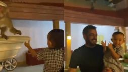 Salman Khan welcomes monkeys and feeds them with niece Ayat