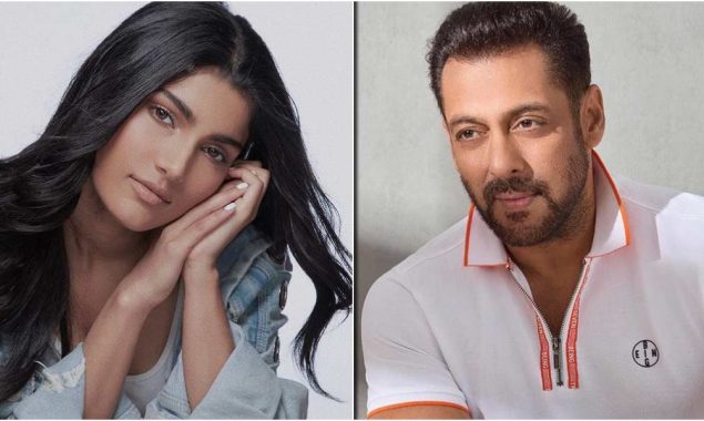 Salman Khan introduce his niece Alizeh in Bollywood next month?