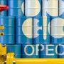 Opec says high energy prices to dampen fourth quarter demand