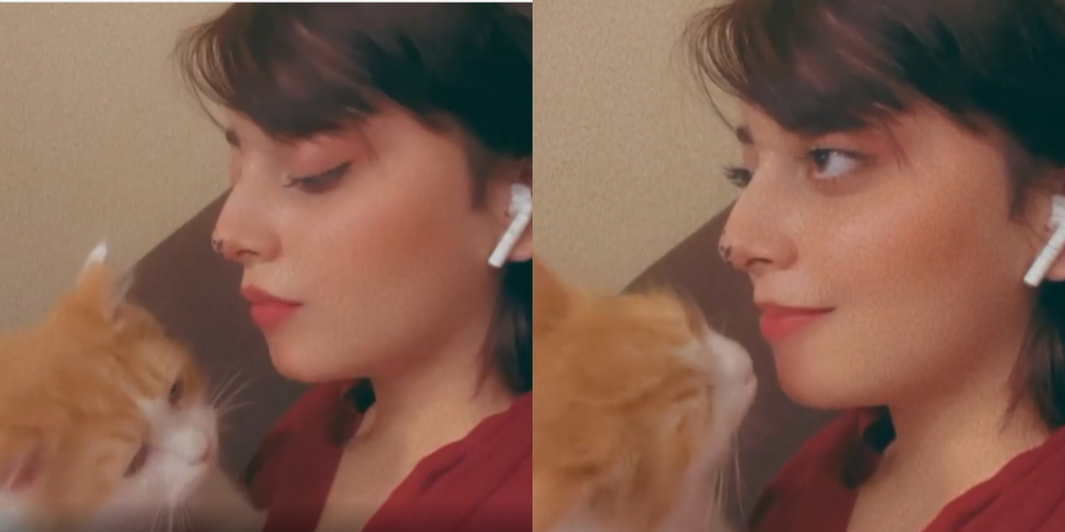 Alizeh Shah shares cute moments with her fluffy cat