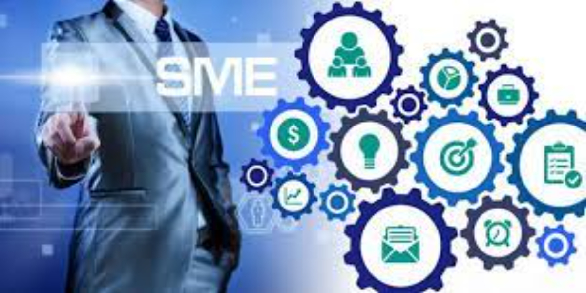 SME Policy