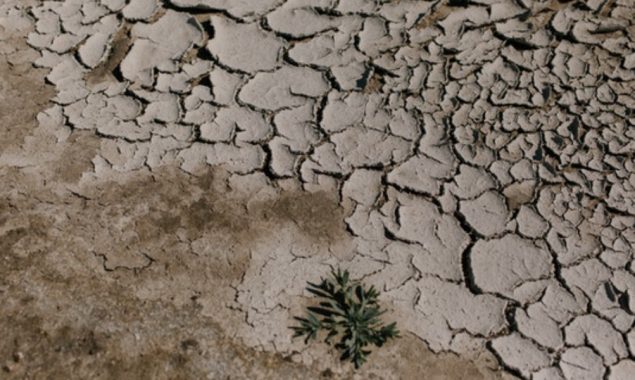 APEC meeting to put climate rhetoric to the test