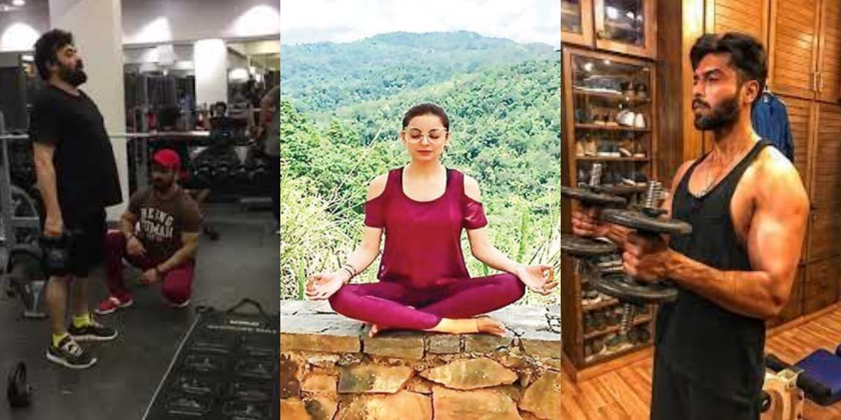 Pakistani celebrities