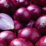 Pakistan, China sign deal on onion export: envoy