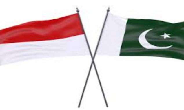 Indonesia-Pakistan Portal to felicitate businesses developed