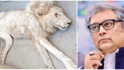 Ali Zaidi chides Sindh govt for dilapidated condition of Karachi Zoo