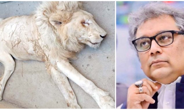 Ali Zaidi criticises Sindh govt for ‘beyond pathetic’ conditions of Karachi Zoo